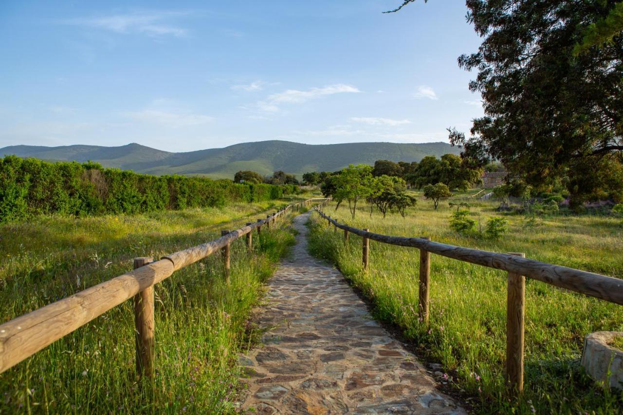 Los Chozos Del Geoparque Carrascalejo エクステリア 写真